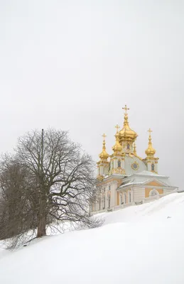 Куда сходить в Санкт-Петербурге зимой?