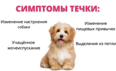 fdc060748ba9c602d0b88594548e7cc6ae1824153ddae9b4db6ed67eb867d489