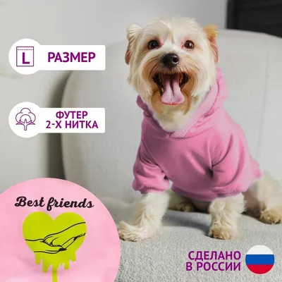 Течка у собак: сколько длится, поведение собаки, вязка | PetGlobals.com |  Дзен