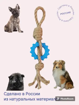 🐾 Купить Rurri Игрушка для собак Петля веревочная, 37 см 4680368316751,  цена 499 ₽ в магазине или с доставкой на дом в городе Москва | Fraulen