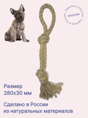 Прочная петля для удержания собаки Chadog 79.0 см - ZOOSHOP.ONLINE