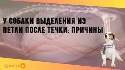 Игрушка для собак Веревка, канат+петля, натуральные материалы, джут , 28 см  - купить с доставкой по выгодным ценам в интернет-магазине OZON (948451158)