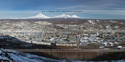 Фестивальная улица, 24 (Петропавловск-Камчатский, микрорайон Сероглазка) –  информация и адрес дома (район), серия, отзывы, на карте, планировки и фото  – Домклик