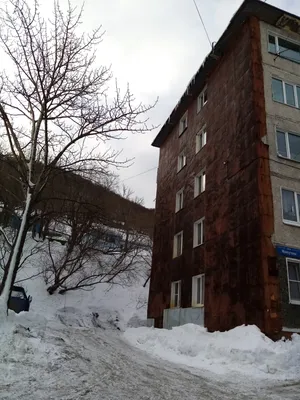 Файл:Petropavlovsk-Kamchatsky Sovetskaya street.jpg — Википедия