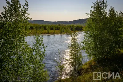 Красивые открытки на Петров день (Петра и Павла) 2023 г.