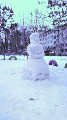 Петух на фоне заснеженного ландшафта - скачать бесплатно