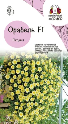 Петуния ампельная Explorer Lavender F1, Sakata купить в Украине - цена,  фото, отзывы | Agrolife