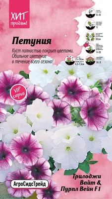 Петуния \"Amore Heart Soul\" купить в питомнике растений с доставкой по  Москве, Московской области и России, рассада, выращивание, посадка и уход