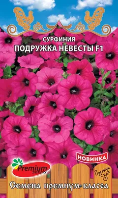 Объём имеет значение. Сколько грунта нужно петунии. | Цветочное хозяйство |  Дзен