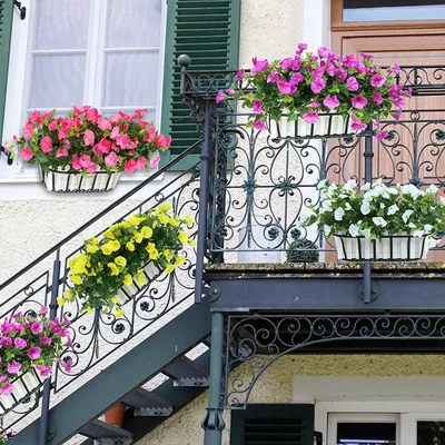 Ароматный балкон. Наиболее красивые и душистые цветы на балконе - посадка,  уход, фото, как вырастить и собрать урожай - «Блог Флориум.юа» 2024