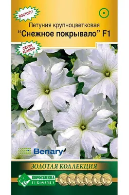 Купить семена: Петуния крупноцветковая Аладдин Оранж - цены,фото,отзывы |  Green-Club.com.ua
