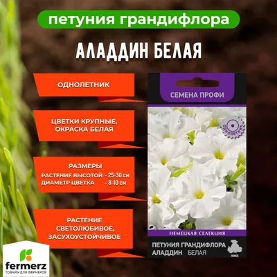 Купить семена Петунии F1 крупноцветковая Аладдин Неон в Украине: Цена,  Характеристики, Отзывы;