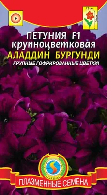 Купить Петуния грандифлора Аладдин Розовая (30 семян) • Поиск ССК (Россия)  • Петуния грандифлора Аладдин Розовая. Красивые крупные цветки с  гофрированным краем! Растения компактные с насыщенно-зелёной листвой.  Высота растения – 25-30 см.