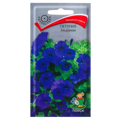 Семена цветов Петуния Альдерман синяя Поиск в Кемерове – купить по низкой  цене в интернет-магазине Леруа Мерлен