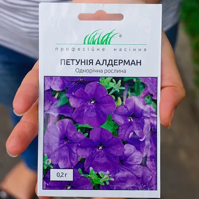 Семена петунии цветы однолетние петуния — купить в интернет-магазине по  низкой цене на Яндекс Маркете