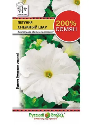 https://leroymerlin.ru/product/semena-petuniya-ampelnaya-opera-malinovye-zhilki-83227405/