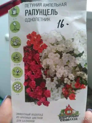 Петуния ампельная F1 (Ф1) рапунцель ТМ Garden Star (Гарден Стар) |  AliExpress