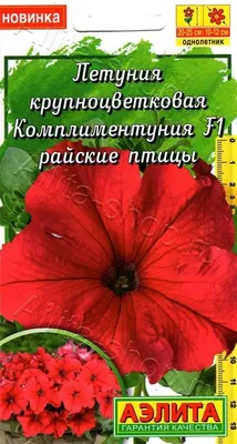 Купить Семена Петуния крупноцветковая «Поиск» Танго белая, 15 шт (880690) в  интернет-магазине АШАН в Москве и России