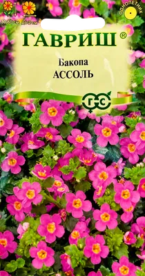 Бакопа Ассоль (Сутера) 3 шт. гранул. пробирка семена купить в Самаре по  цене 102 руб.