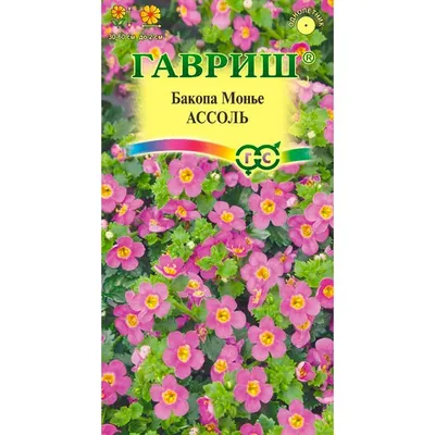 Купить Бакопа Ассоль 3шт недорого по цене 132руб.|Garden-zoo.ru