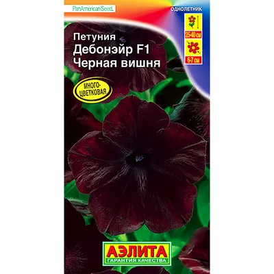 Астра, петуния, календула, циния, васильки, гипсофила,наперстянка: цена 3  грн - купить Семена на ИЗИ | Днепропетровская область