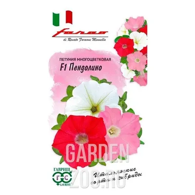 Семена цветов купить в Пензе +78412422612 Оптовые цены от 2,90 р.