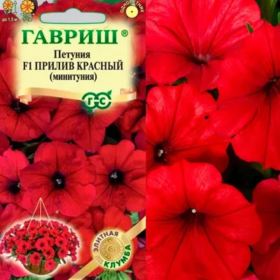 Купить семена Эустома Алисса синяя F1 крупноцветковая от Гавриш, 6916