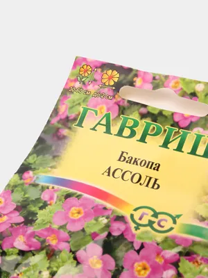 Петуния от посева до цветения. Как легко выращивать петунии от А до Я -  YouTube