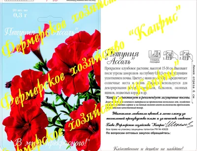 Петуния Ассоль, красная (20пак*0,3г) Германия