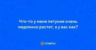 Ярмарка посадочного материала \"Разноцветье\" - Питомник и магазин садовых и  декоративных растений
