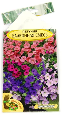 Выращивание петунии на балконе | О Фазенде. Загородная жизнь | Дзен