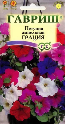 ✿ Петуния Балконная смесь 0,1 гр купить за 25 руб, доставка почтой, оплата  при получении