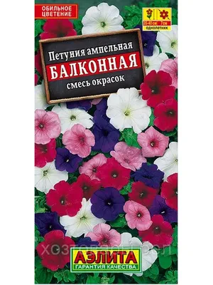 Петуния Балконная ампельная 0,1г Одн смесь 40см (Аэлита): продажа, цена в  Гомеле. Семена и клубни трав и цветов от \"ХозТовары\" - 192278958