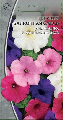 Отзыв о Семена Поиск \"Петуния балконная смесь окрасок\" | И правда ассорти,  всхожесть отличная и результат порадовал (фото)