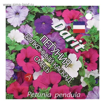 Петуния БАЛКОННАЯ смесь О*0.1гр Агроуспех: продажа, цена в Молодечно.  Семена и клубни трав и цветов от \"ЧТПУП «Мир Дачника»\" - 167446018