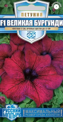 Petunia 'Ultra Burgundy', Petunia 'Ultra Burgundy' in GardenTags plant  encyclopedia