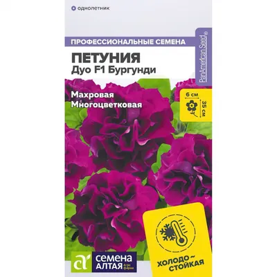 https://orenburg.leroymerlin.ru/product/semena-petuniya-ampel-f1-izi-veyv-burgundi-velyur-83227402/