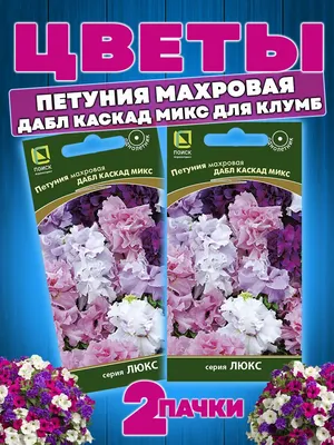 Отзыв о Семена Поиск \"Петуния махровая Дабл Каскад Блю\" | Красивая,  живучая, не каскадная