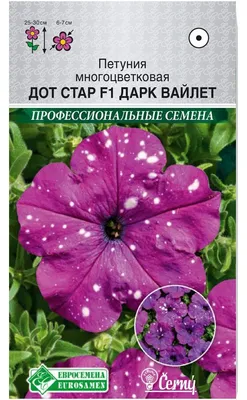 Петуния мелкоцветковая Дот Стар F1 темно-розовая Petunia milliflora Dot  Star F1 deep pink - купить семена цветов с доставкой по Украине в магазине  Добродар