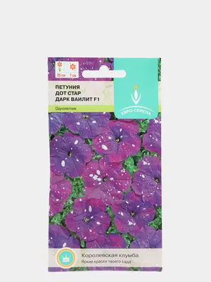 Петуния мелкоцветковая Дот Стар F1 темно-фиолетовая Petunia milliflora Dot  Star F1 dark violet - купить семена цветов с доставкой по Украине в  магазине Добродар