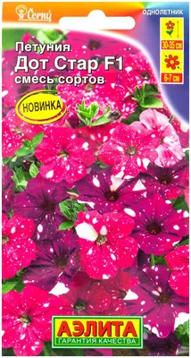 Петуния ДОТ СТАР дарк ваилит F1 10шт / Семена цветов купить по цене 62.1 ₽  в интернет-магазине KazanExpress