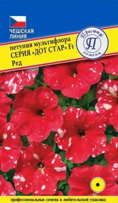 Петуния Дот стар орион, семена, 5шт., Польша, (са): продажа, цена в  Брестской области. Семена и клубни трав и цветов от \"Profsemena.by магазин  семян ООО \"Леда-Сидс\"\" - 218224374