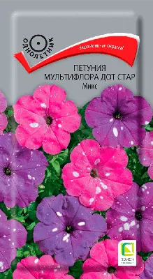 Petunia Dot Star Dark Vailit F1