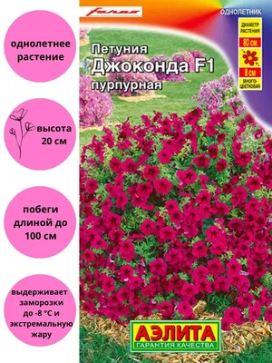 Семена цветов Петуния \"Джоконда F1 темно-розовая\", 7 штук купить по цене  100 ₽ в интернет-магазине KazanExpress