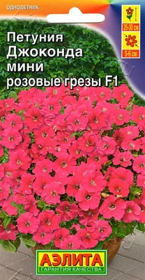 Петуния Джоконда Мини Белоснежная F1, 7 шт. Farao, купить в интернет  магазине Seedspost.ru