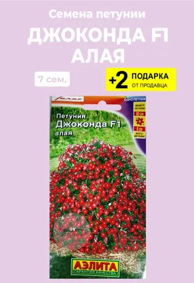 Петуния джоконда F1 мини белоснежная ~ 7 семян — купить по низкой цене на  Яндекс Маркете