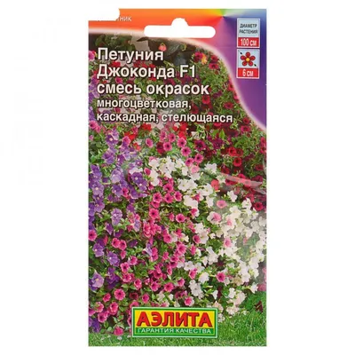 Петуния Джоконда алая (семена,цветы) купить по цене 114.3 ₽ в  интернет-магазине KazanExpress
