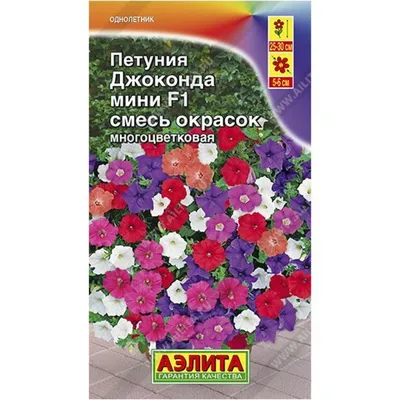 Петуния Джоконда Мини Синий бархат F1, 7 шт. Farao, купить в интернет  магазине Seedspost.ru