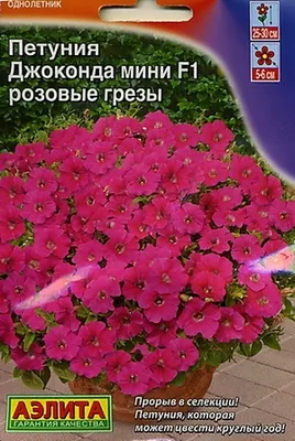 Петуния Джоконда мини F1 синий бархат, семена купить по цене 119 ₽ в  интернет-магазине KazanExpress