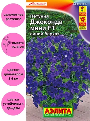 Семена петуния-мини Поиск Бэби Джоконда Вайт 787509 1 уп. - купить в  Москве, цены на Мегамаркет